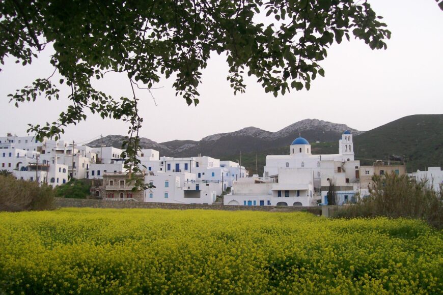 katapola rachidi